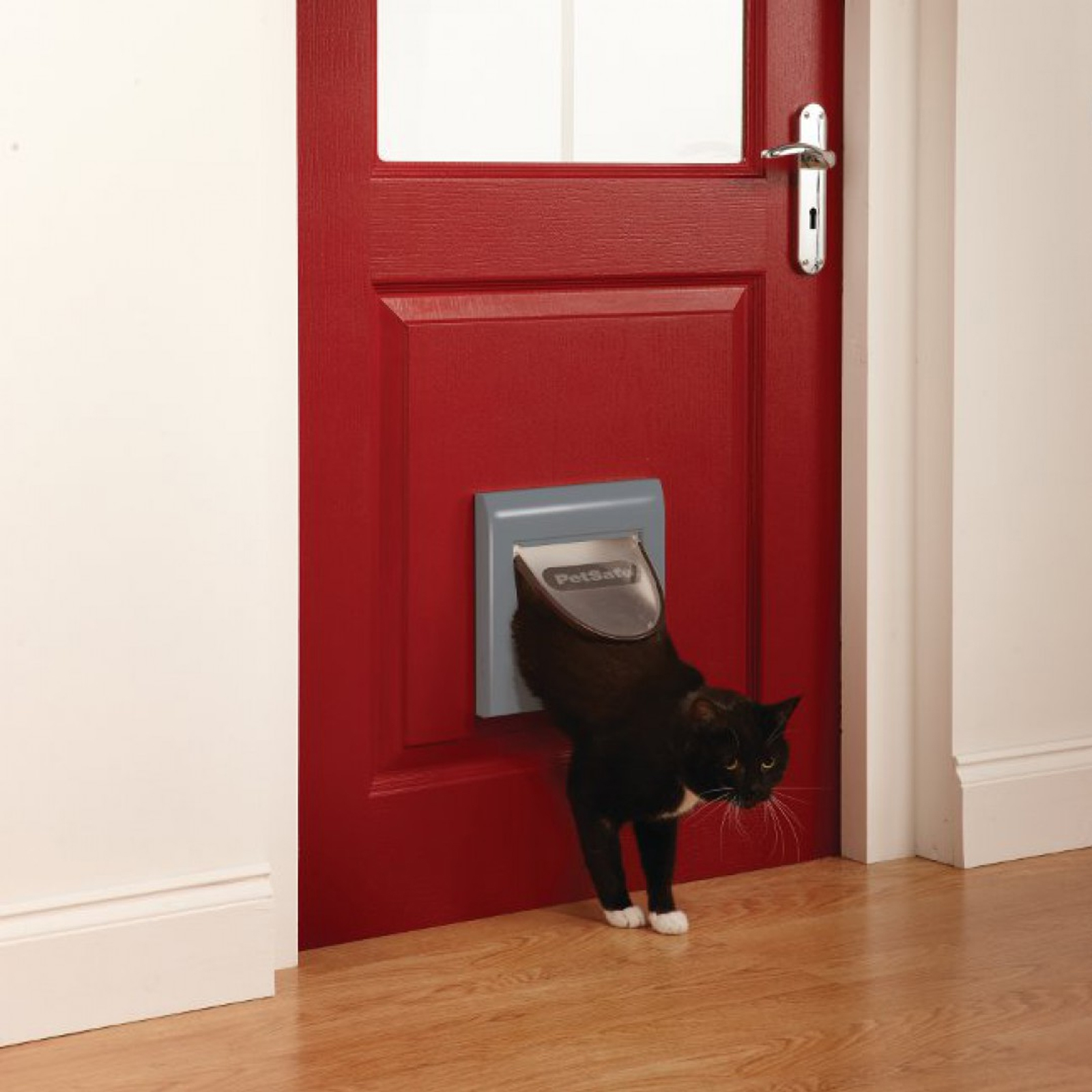 PetSafe Classic Cat Flap