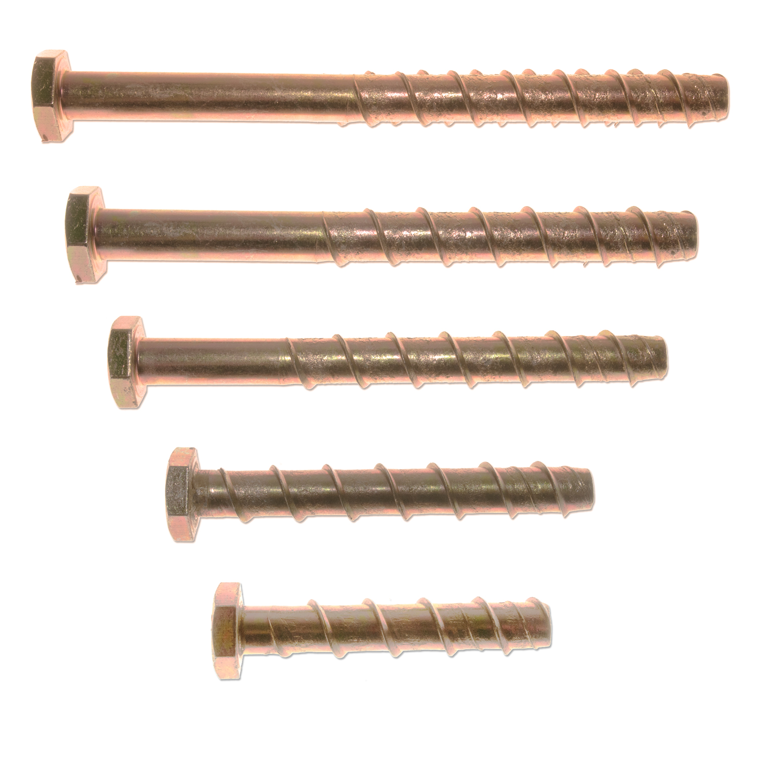 M12 Self-Tapping Concrete Anchors (5 Pack)