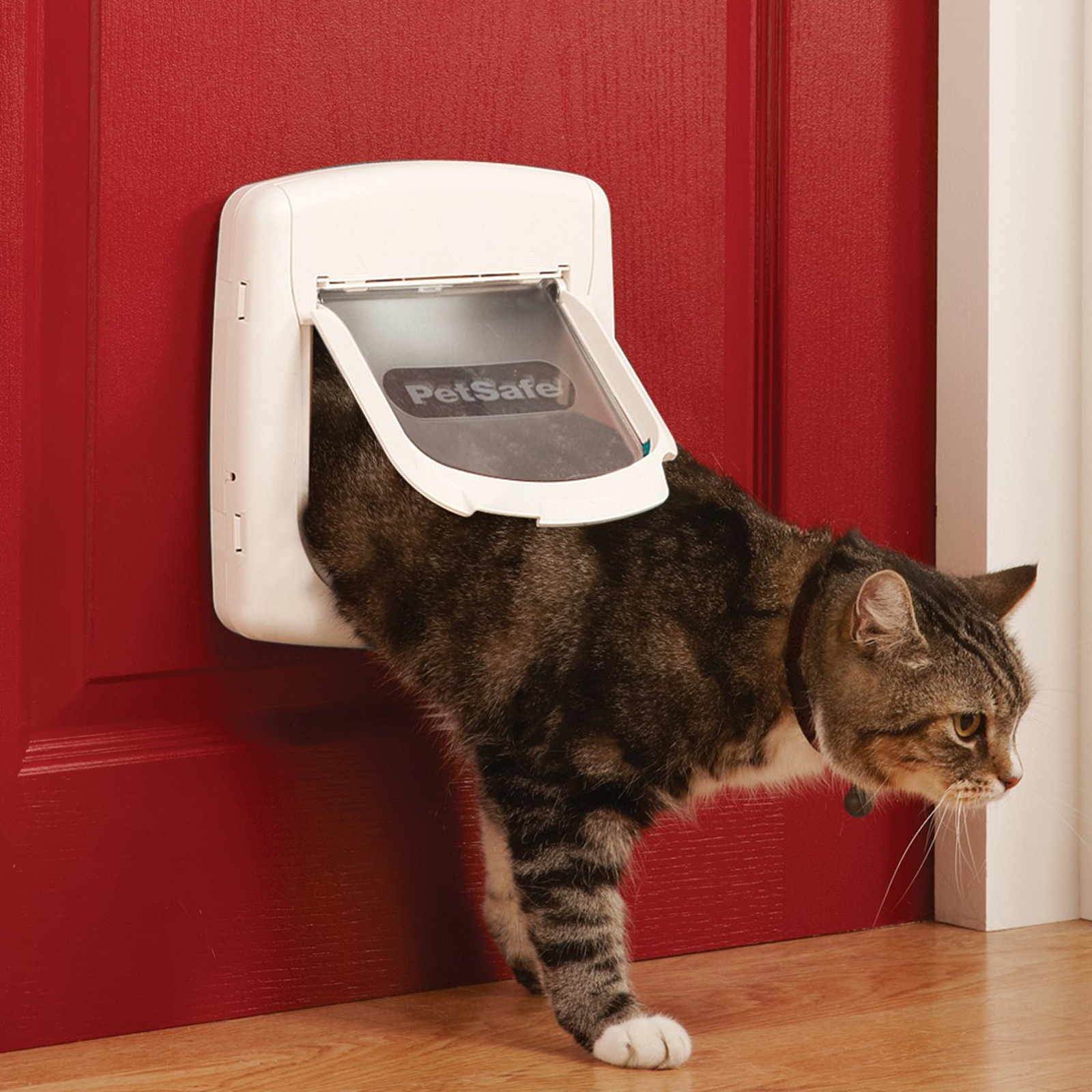 PetSafe Cat Flap Collar & Magnet