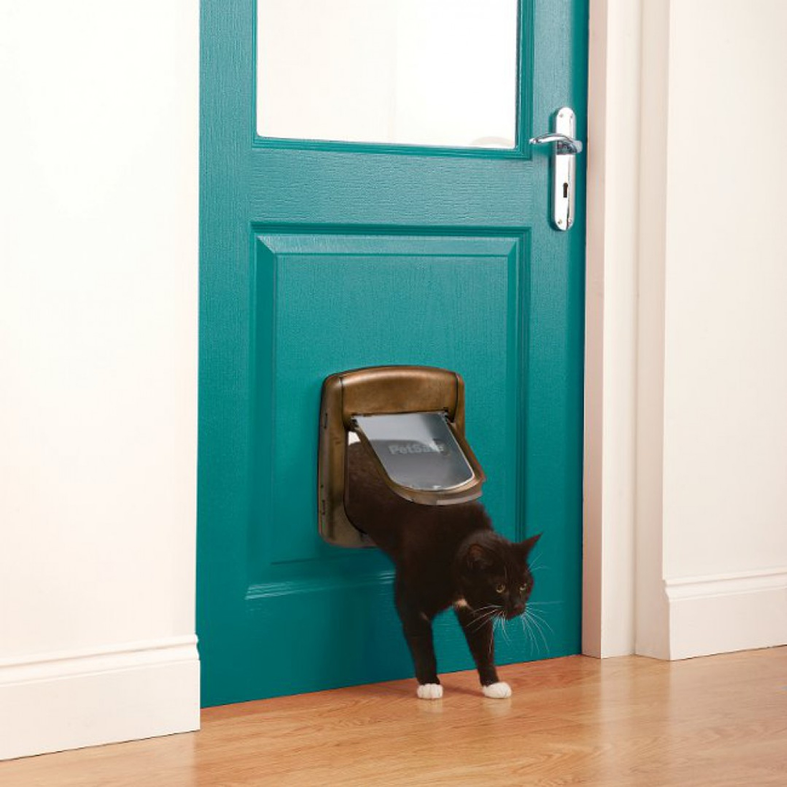 Example of PetSafe Deluxe 4-Way Pet Door Cat Flap with Magnetic Entry