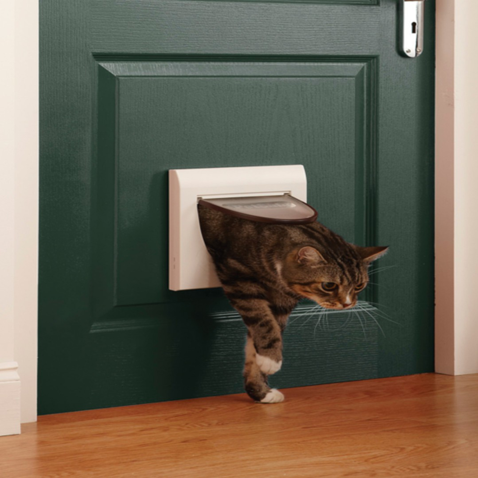 PetSafe Classic Cat Flap Tunnel